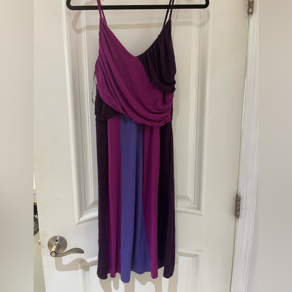 Envi Multicolored Purple Dress
